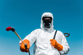 Best Indoor Pest Control  in La Villa, TX